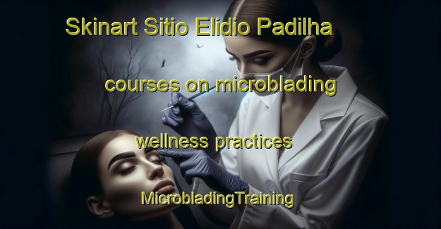 Skinart Sitio Elidio Padilha courses on microblading wellness practices | #MicrobladingTraining #MicrobladingClasses #SkinartTraining-Brazil