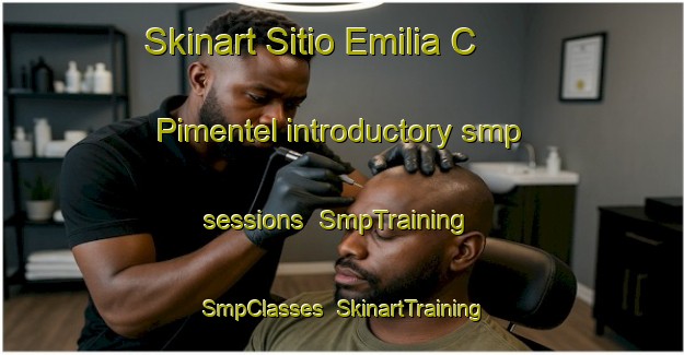 Skinart Sitio Emilia C  Pimentel introductory smp sessions | SmpTraining | SmpClasses | SkinartTraining-Brazil