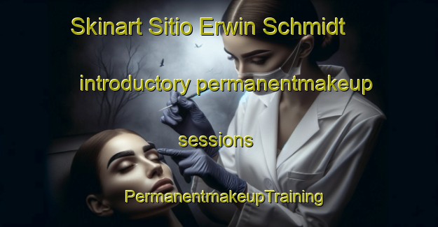 Skinart Sitio Erwin Schmidt introductory permanentmakeup sessions | PermanentmakeupTraining | PermanentmakeupClasses | SkinartTraining-Brazil