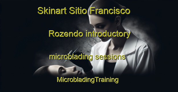 Skinart Sitio Francisco Rozendo introductory microblading sessions | #MicrobladingTraining #MicrobladingClasses #SkinartTraining-Brazil