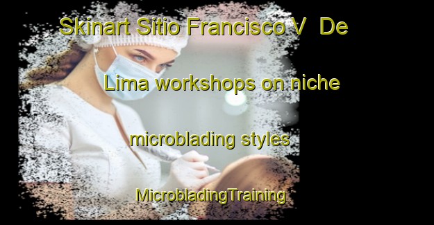 Skinart Sitio Francisco V  De Lima workshops on niche microblading styles | MicrobladingTraining | MicrobladingClasses | SkinartTraining-Brazil