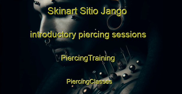 Skinart Sitio Jango introductory piercing sessions | PiercingTraining | PiercingClasses | SkinartTraining-Brazil