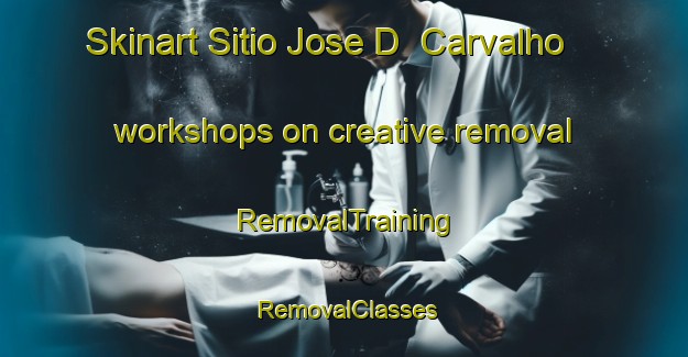 Skinart Sitio Jose D  Carvalho workshops on creative removal | RemovalTraining | RemovalClasses | SkinartTraining-Brazil