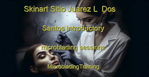 Skinart Sitio Juarez L  Dos Santos introductory microblading sessions | #MicrobladingTraining #MicrobladingClasses #SkinartTraining-Brazil