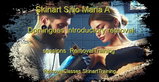 Skinart Sitio Maria A  Domingues introductory removal sessions | #RemovalTraining #RemovalClasses #SkinartTraining-Brazil