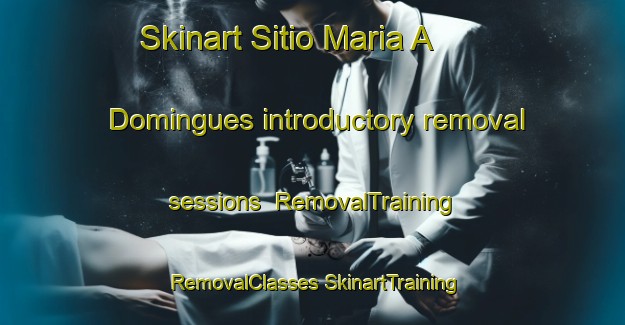 Skinart Sitio Maria A  Domingues introductory removal sessions | #RemovalTraining #RemovalClasses #SkinartTraining-Brazil