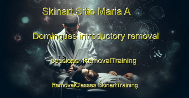 Skinart Sitio Maria A  Domingues introductory removal sessions | #RemovalTraining #RemovalClasses #SkinartTraining-Brazil