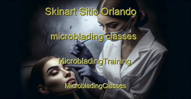 Skinart Sitio Orlando microblading classes | #MicrobladingTraining #MicrobladingClasses #SkinartTraining-Brazil