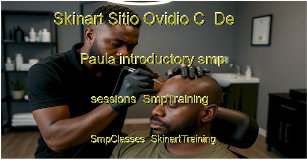 Skinart Sitio Ovidio C  De Paula introductory smp sessions | SmpTraining | SmpClasses | SkinartTraining-Brazil