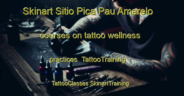 Skinart Sitio Pica Pau Amarelo courses on tattoo wellness practices | #TattooTraining #TattooClasses #SkinartTraining-Brazil