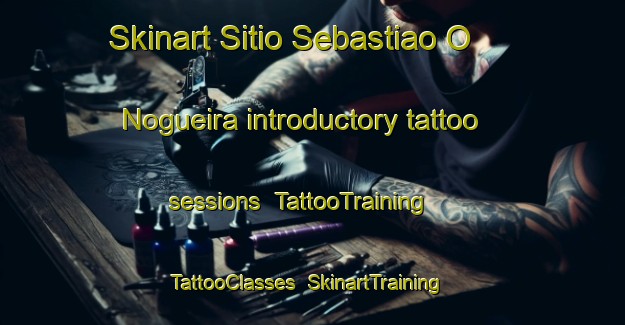 Skinart Sitio Sebastiao O  Nogueira introductory tattoo sessions | TattooTraining | TattooClasses | SkinartTraining-Brazil