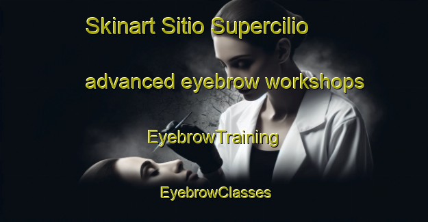 Skinart Sitio Supercilio advanced eyebrow workshops | EyebrowTraining | EyebrowClasses | SkinartTraining-Brazil
