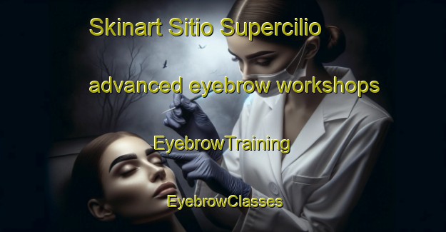 Skinart Sitio Supercilio advanced eyebrow workshops | EyebrowTraining | EyebrowClasses | SkinartTraining-Brazil