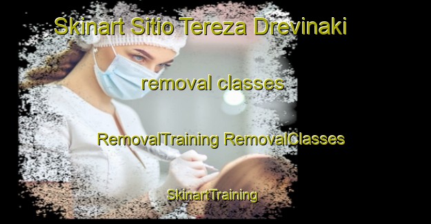 Skinart Sitio Tereza Drevinaki removal classes | #RemovalTraining #RemovalClasses #SkinartTraining-Brazil