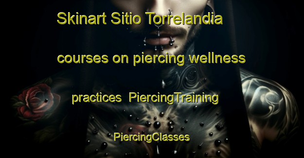 Skinart Sitio Torrelandia courses on piercing wellness practices | #PiercingTraining #PiercingClasses #SkinartTraining-Brazil