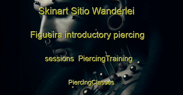 Skinart Sitio Wanderlei Figueira introductory piercing sessions | #PiercingTraining #PiercingClasses #SkinartTraining-Brazil