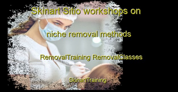 Skinart Sitio workshops on niche removal methods | #RemovalTraining #RemovalClasses #SkinartTraining-Brazil