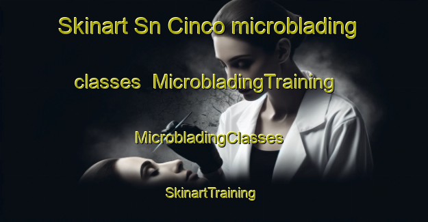 Skinart Sn Cinco microblading classes | MicrobladingTraining | MicrobladingClasses | SkinartTraining-Brazil