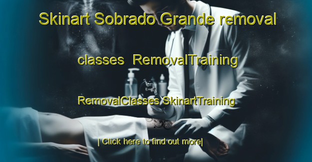 Skinart Sobrado Grande removal classes | #RemovalTraining #RemovalClasses #SkinartTraining-Brazil