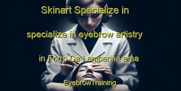 Skinart Specialize in specialize in eyebrow artistry in Forro Da Lamparina area | EyebrowTraining | EyebrowClasses | SkinartTraining-Brazil