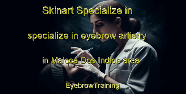 Skinart Specialize in specialize in eyebrow artistry in Maloca Dos Indios area | EyebrowTraining | EyebrowClasses | SkinartTraining-Brazil