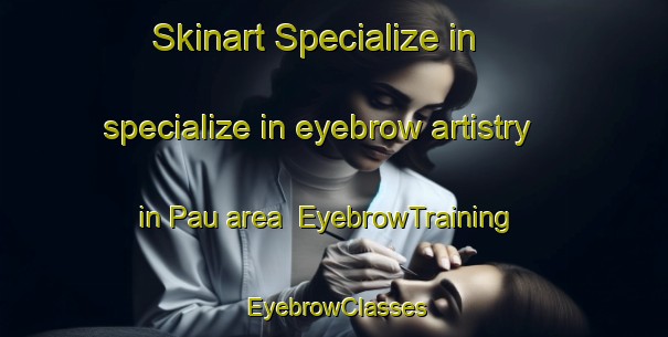Skinart Specialize in specialize in eyebrow artistry in Pau area | EyebrowTraining | EyebrowClasses | SkinartTraining-Brazil