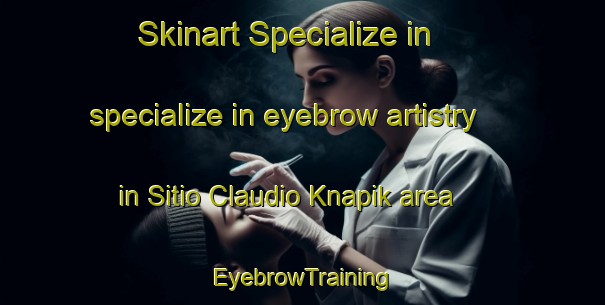 Skinart Specialize in specialize in eyebrow artistry in Sitio Claudio Knapik area | EyebrowTraining | EyebrowClasses | SkinartTraining-Brazil