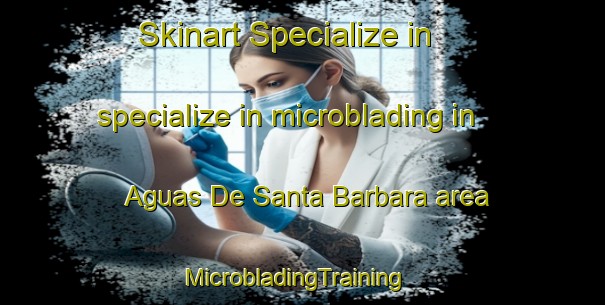 Skinart Specialize in specialize in microblading in Aguas De Santa Barbara area | MicrobladingTraining | MicrobladingClasses | SkinartTraining-Brazil