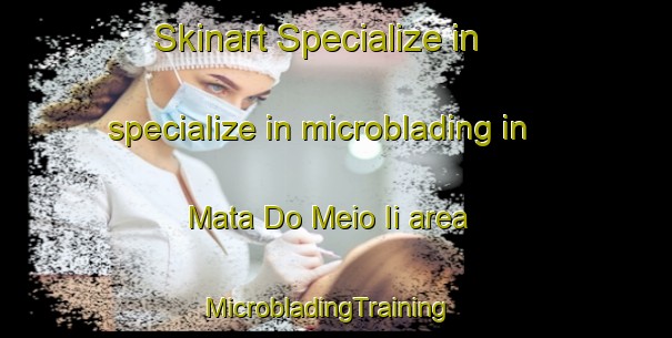 Skinart Specialize in specialize in microblading in Mata Do Meio Ii area | MicrobladingTraining | MicrobladingClasses | SkinartTraining-Brazil