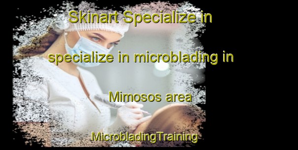 Skinart Specialize in specialize in microblading in Mimosos area | MicrobladingTraining | MicrobladingClasses | SkinartTraining-Brazil