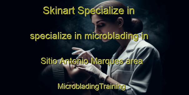 Skinart Specialize in specialize in microblading in Sitio Antonio Marques area | MicrobladingTraining | MicrobladingClasses | SkinartTraining-Brazil