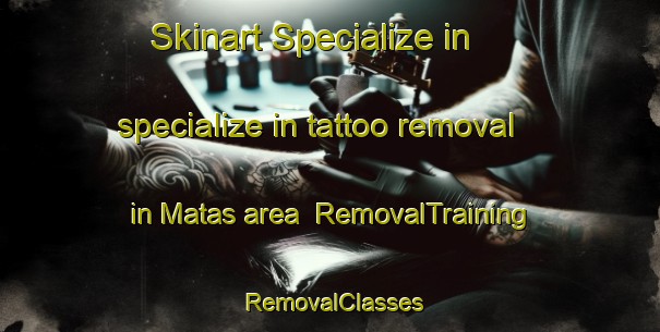 Skinart Specialize in specialize in tattoo removal in Matas area | RemovalTraining | RemovalClasses | SkinartTraining-Brazil