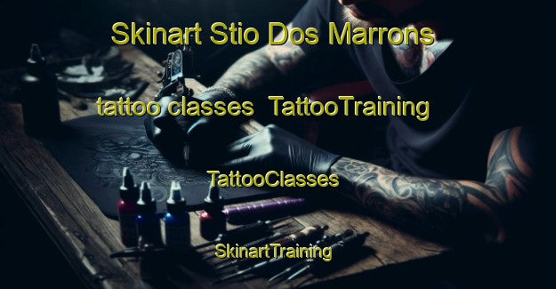 Skinart Stio Dos Marrons tattoo classes | TattooTraining | TattooClasses | SkinartTraining-Brazil