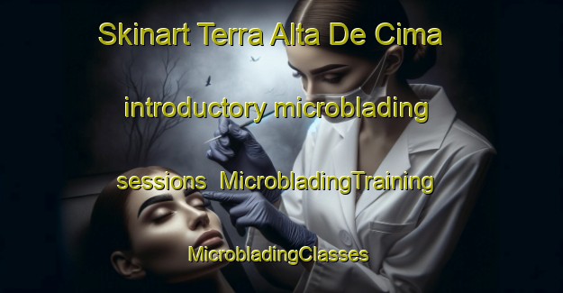 Skinart Terra Alta De Cima introductory microblading sessions | MicrobladingTraining | MicrobladingClasses | SkinartTraining-Brazil