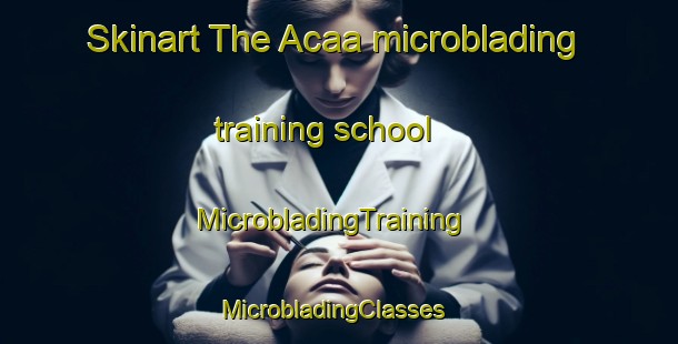 Skinart The Acaa microblading training school | MicrobladingTraining | MicrobladingClasses | SkinartTraining-Brazil