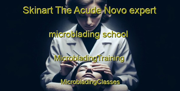 Skinart The Acude Novo expert microblading school | #MicrobladingTraining #MicrobladingClasses #SkinartTraining-Brazil