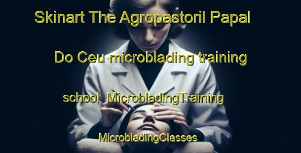 Skinart The Agropastoril Papal Do Ceu microblading training school | MicrobladingTraining | MicrobladingClasses | SkinartTraining-Brazil