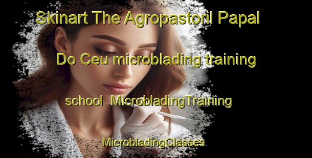 Skinart The Agropastoril Papal Do Ceu microblading training school | MicrobladingTraining | MicrobladingClasses | SkinartTraining-Brazil