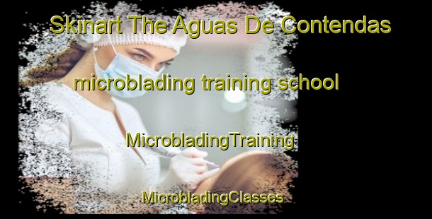 Skinart The Aguas De Contendas microblading training school | MicrobladingTraining | MicrobladingClasses | SkinartTraining-Brazil