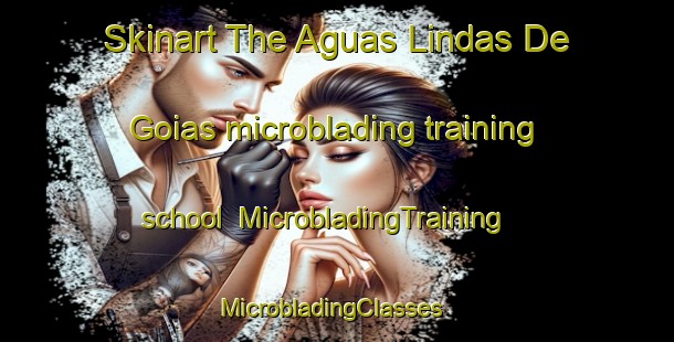 Skinart The Aguas Lindas De Goias microblading training school | MicrobladingTraining | MicrobladingClasses | SkinartTraining-Brazil