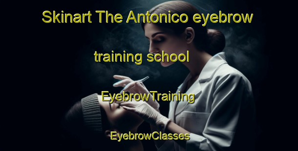 Skinart The Antonico eyebrow training school | EyebrowTraining | EyebrowClasses | SkinartTraining-Brazil