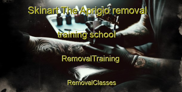 Skinart The Aprigio removal training school | RemovalTraining | RemovalClasses | SkinartTraining-Brazil