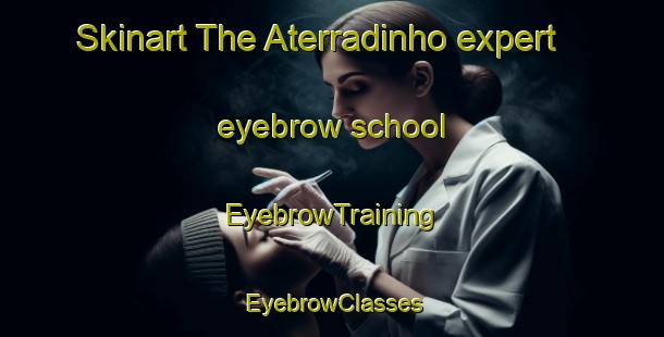 Skinart The Aterradinho expert eyebrow school | EyebrowTraining | EyebrowClasses | SkinartTraining-Brazil