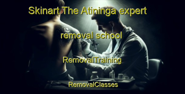 Skinart The Atininga expert removal school | RemovalTraining | RemovalClasses | SkinartTraining-Brazil