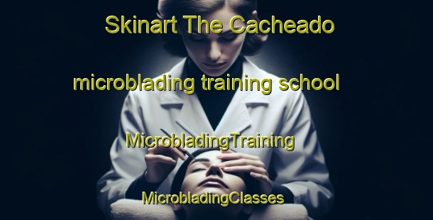 Skinart The Cacheado microblading training school | MicrobladingTraining | MicrobladingClasses | SkinartTraining-Brazil