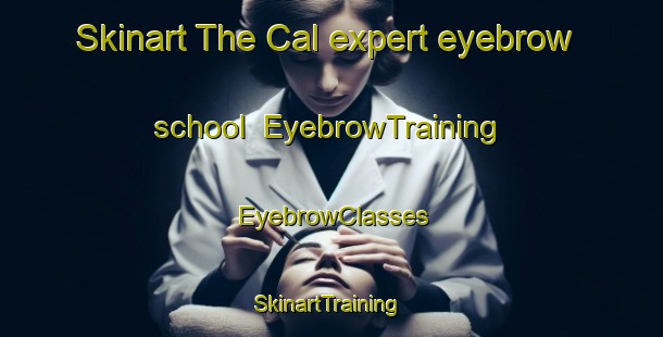 Skinart The Cal expert eyebrow school | EyebrowTraining | EyebrowClasses | SkinartTraining-Brazil