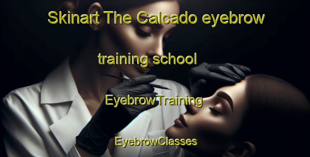 Skinart The Calcado eyebrow training school | EyebrowTraining | EyebrowClasses | SkinartTraining-Brazil