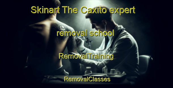 Skinart The Caxito expert removal school | RemovalTraining | RemovalClasses | SkinartTraining-Brazil