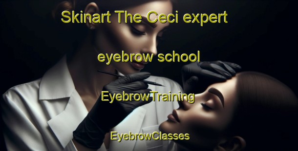 Skinart The Ceci expert eyebrow school | EyebrowTraining | EyebrowClasses | SkinartTraining-Brazil