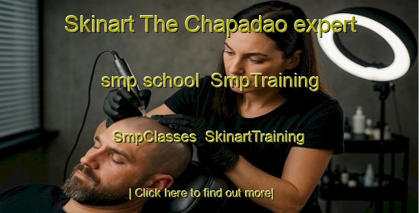 Skinart The Chapadao expert smp school | SmpTraining | SmpClasses | SkinartTraining-Brazil